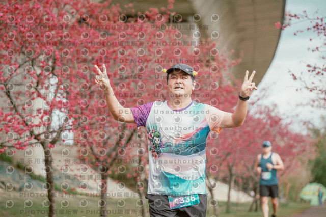 2026左岸竹東櫻花馬拉松Zhudong Sakura Marathon