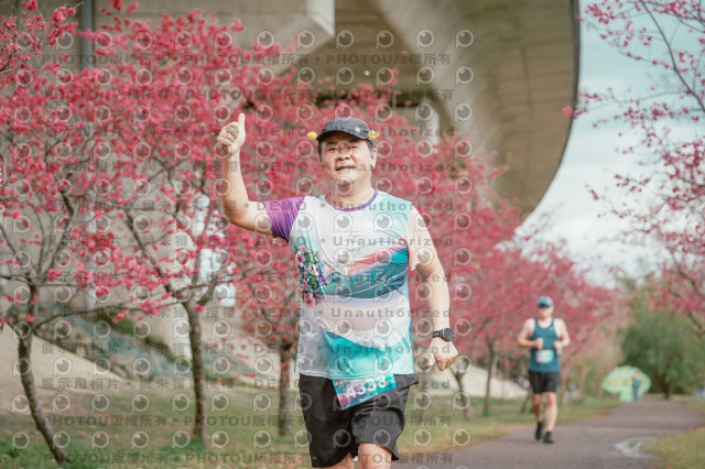 2026左岸竹東櫻花馬拉松Zhudong Sakura Marathon