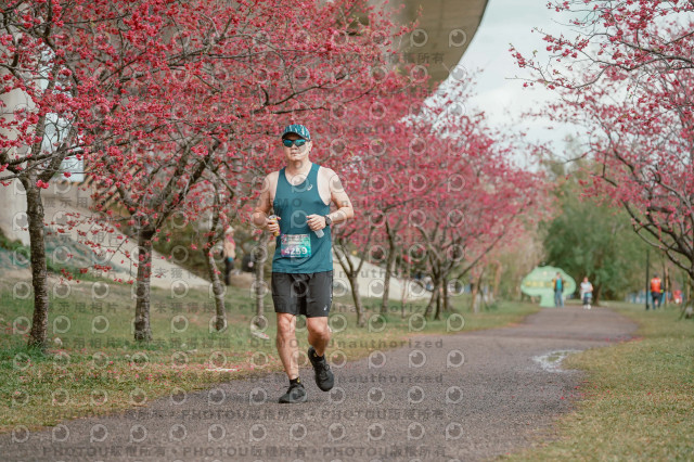 2026左岸竹東櫻花馬拉松Zhudong Sakura Marathon