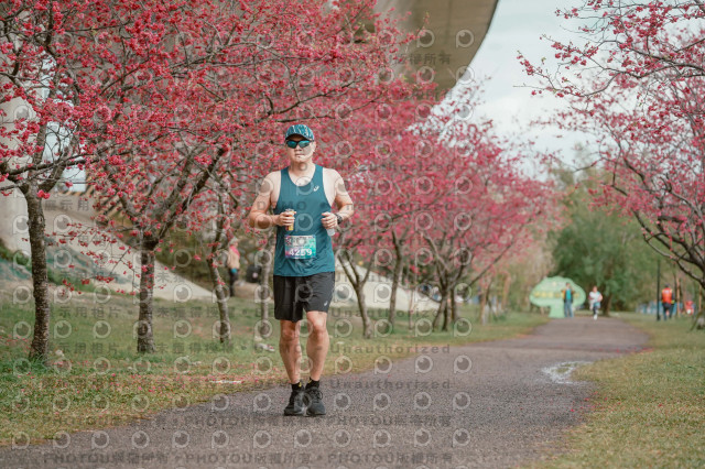 2026左岸竹東櫻花馬拉松Zhudong Sakura Marathon