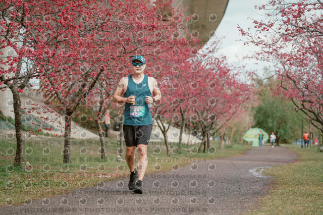 2026左岸竹東櫻花馬拉松Zhudong Sakura Marathon