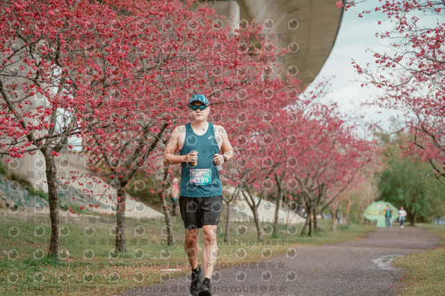 2026左岸竹東櫻花馬拉松Zhudong Sakura Marathon