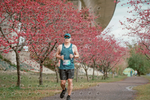 2026左岸竹東櫻花馬拉松Zhudong Sakura Marathon