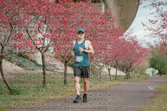 2026左岸竹東櫻花馬拉松Zhudong Sakura Marathon