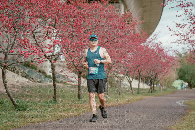 2026左岸竹東櫻花馬拉松Zhudong Sakura Marathon