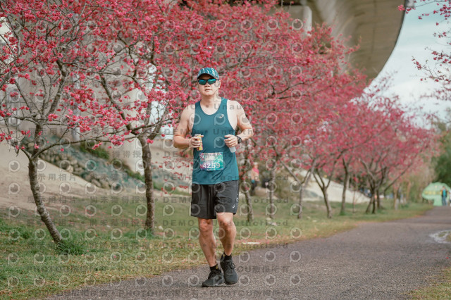 2026左岸竹東櫻花馬拉松Zhudong Sakura Marathon