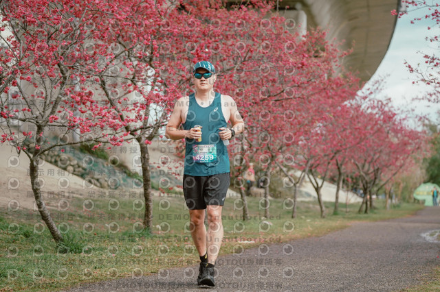 2026左岸竹東櫻花馬拉松Zhudong Sakura Marathon