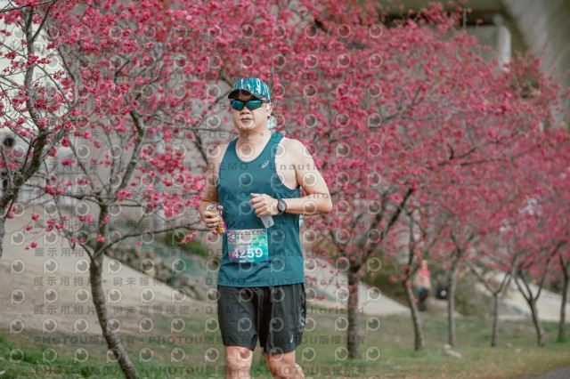 2026左岸竹東櫻花馬拉松Zhudong Sakura Marathon