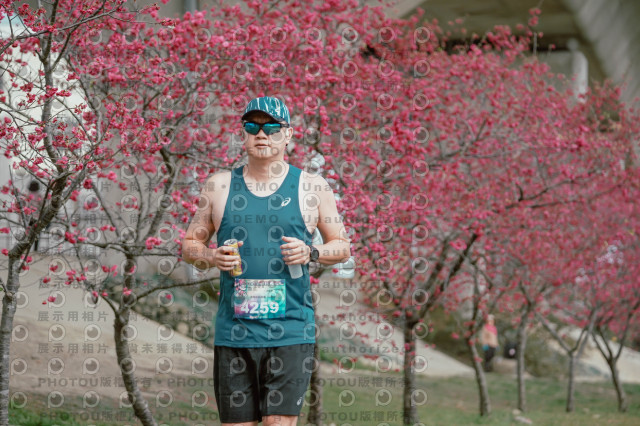 2026左岸竹東櫻花馬拉松Zhudong Sakura Marathon