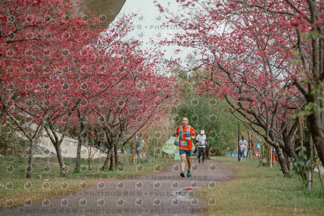 2026左岸竹東櫻花馬拉松Zhudong Sakura Marathon
