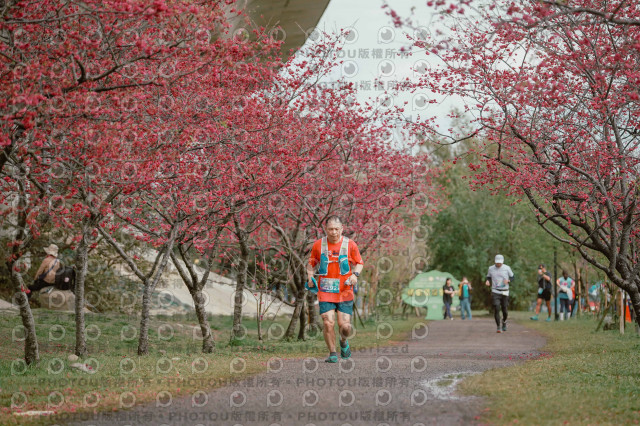 2026左岸竹東櫻花馬拉松Zhudong Sakura Marathon