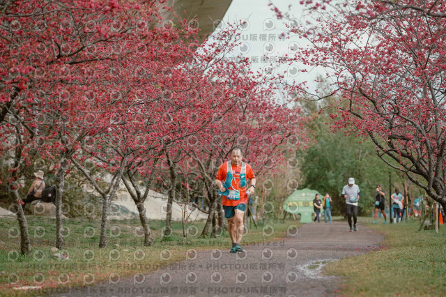 2026左岸竹東櫻花馬拉松Zhudong Sakura Marathon