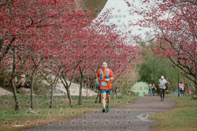 2026左岸竹東櫻花馬拉松Zhudong Sakura Marathon