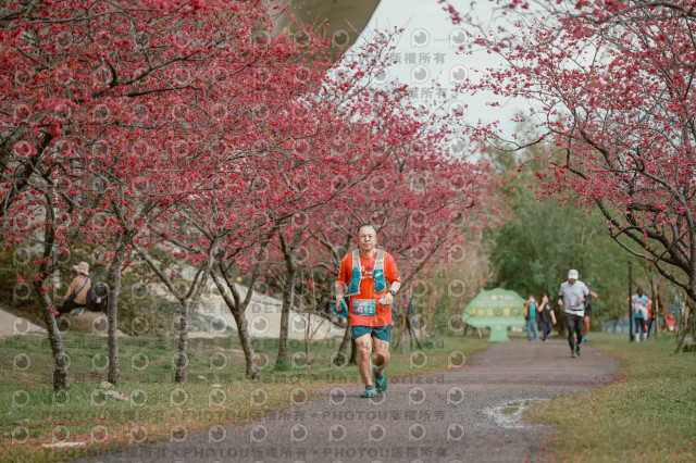 2026左岸竹東櫻花馬拉松Zhudong Sakura Marathon