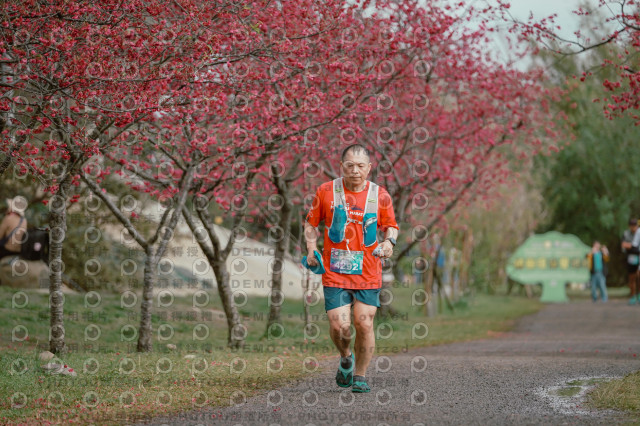 2026左岸竹東櫻花馬拉松Zhudong Sakura Marathon