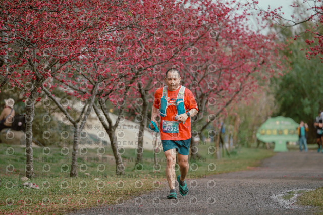 2026左岸竹東櫻花馬拉松Zhudong Sakura Marathon