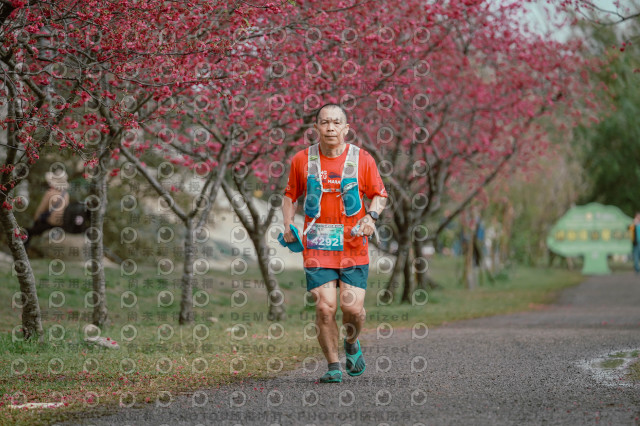 2026左岸竹東櫻花馬拉松Zhudong Sakura Marathon
