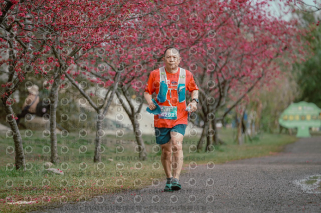 2026左岸竹東櫻花馬拉松Zhudong Sakura Marathon