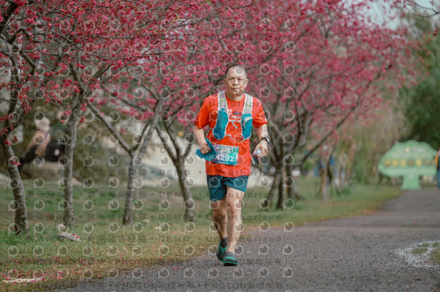 2026左岸竹東櫻花馬拉松Zhudong Sakura Marathon