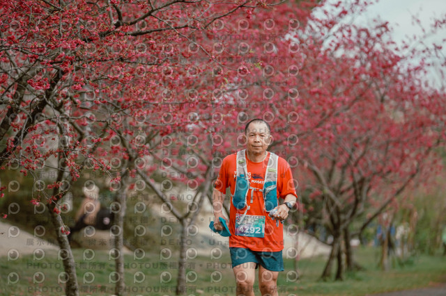 2026左岸竹東櫻花馬拉松Zhudong Sakura Marathon