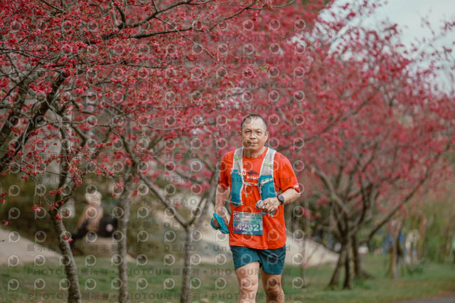 2026左岸竹東櫻花馬拉松Zhudong Sakura Marathon
