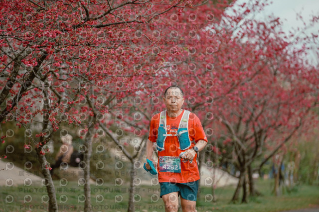 2026左岸竹東櫻花馬拉松Zhudong Sakura Marathon