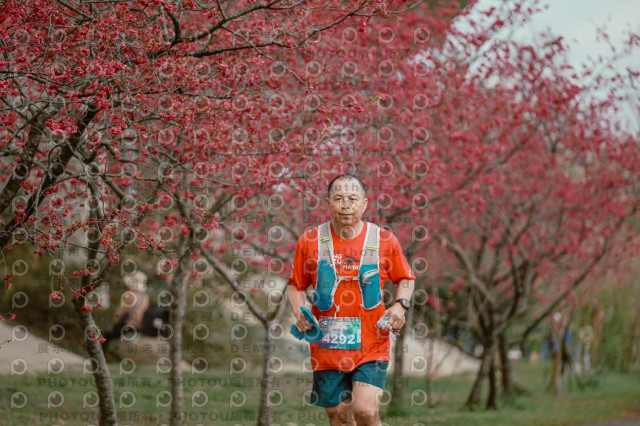 2026左岸竹東櫻花馬拉松Zhudong Sakura Marathon