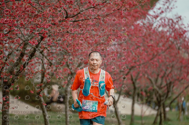 2026左岸竹東櫻花馬拉松Zhudong Sakura Marathon