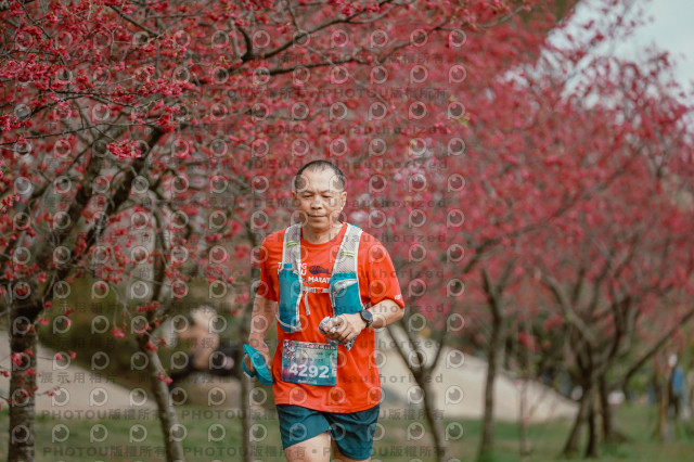 2026左岸竹東櫻花馬拉松Zhudong Sakura Marathon