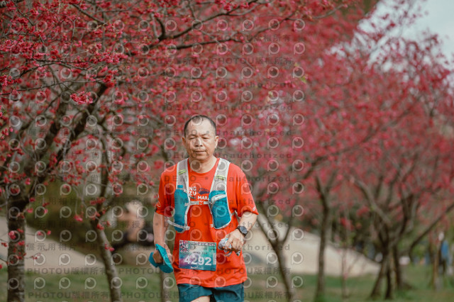 2026左岸竹東櫻花馬拉松Zhudong Sakura Marathon