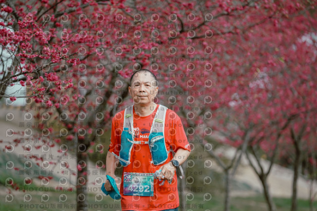 2026左岸竹東櫻花馬拉松Zhudong Sakura Marathon