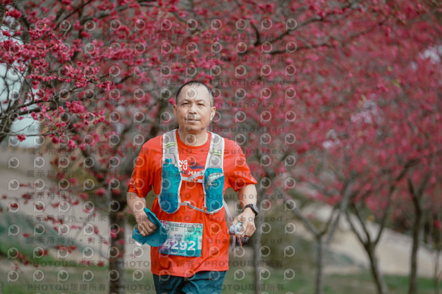 2026左岸竹東櫻花馬拉松Zhudong Sakura Marathon
