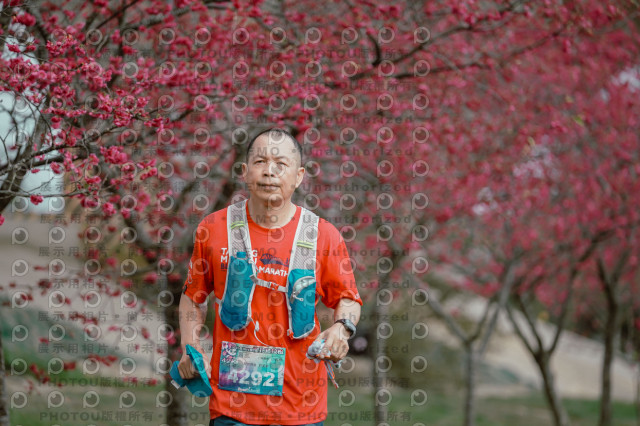 2026左岸竹東櫻花馬拉松Zhudong Sakura Marathon