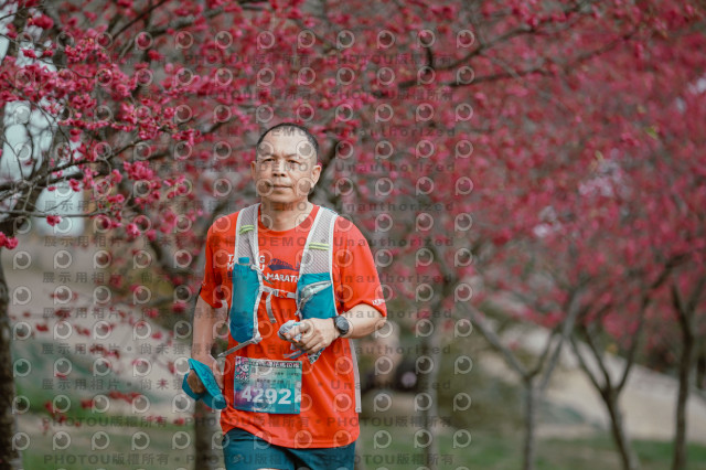 2026左岸竹東櫻花馬拉松Zhudong Sakura Marathon