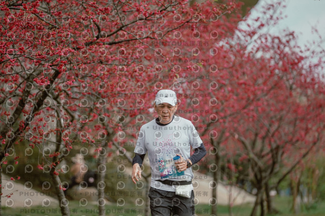 2026左岸竹東櫻花馬拉松Zhudong Sakura Marathon