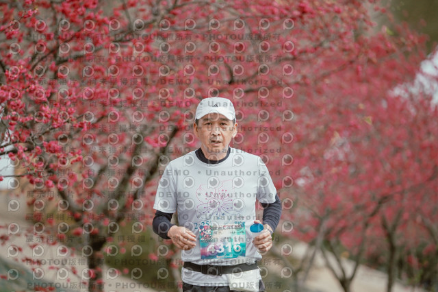 2026左岸竹東櫻花馬拉松Zhudong Sakura Marathon