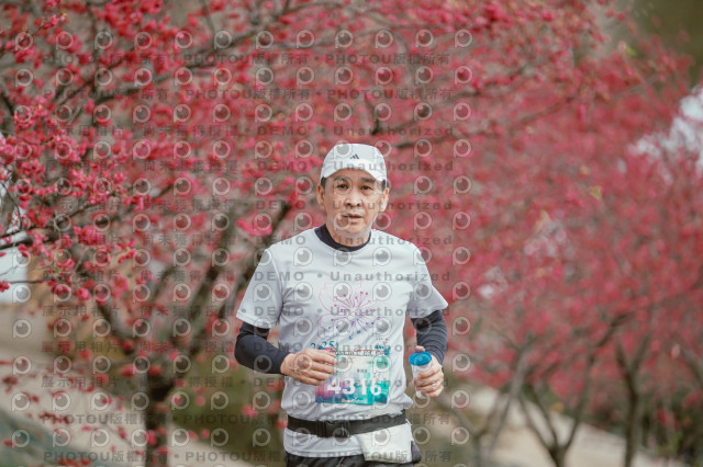 2026左岸竹東櫻花馬拉松Zhudong Sakura Marathon