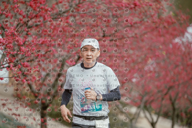 2026左岸竹東櫻花馬拉松Zhudong Sakura Marathon