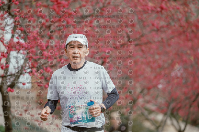 2026左岸竹東櫻花馬拉松Zhudong Sakura Marathon