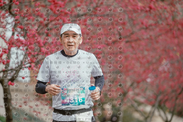 2026左岸竹東櫻花馬拉松Zhudong Sakura Marathon