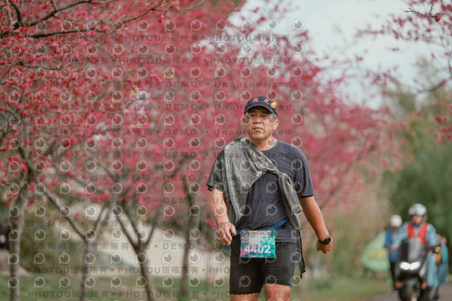 2026左岸竹東櫻花馬拉松Zhudong Sakura Marathon
