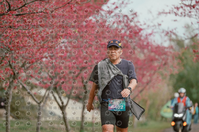 2026左岸竹東櫻花馬拉松Zhudong Sakura Marathon