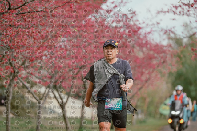 2026左岸竹東櫻花馬拉松Zhudong Sakura Marathon