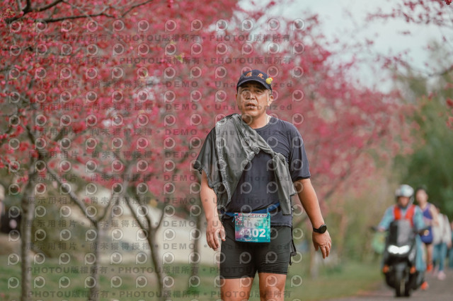 2026左岸竹東櫻花馬拉松Zhudong Sakura Marathon