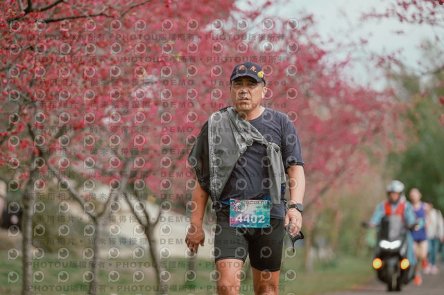 2026左岸竹東櫻花馬拉松Zhudong Sakura Marathon