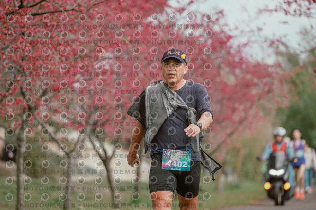 2026左岸竹東櫻花馬拉松Zhudong Sakura Marathon