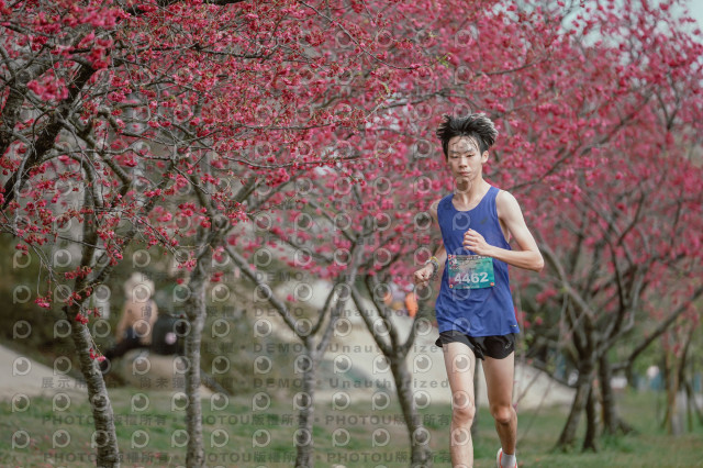 2026左岸竹東櫻花馬拉松Zhudong Sakura Marathon