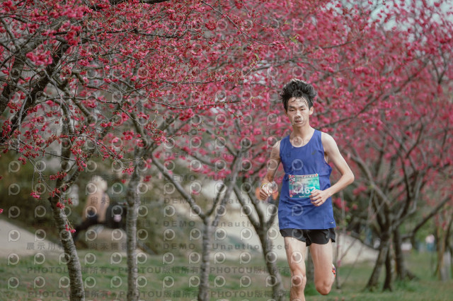 2026左岸竹東櫻花馬拉松Zhudong Sakura Marathon
