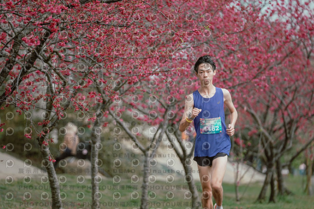 2026左岸竹東櫻花馬拉松Zhudong Sakura Marathon