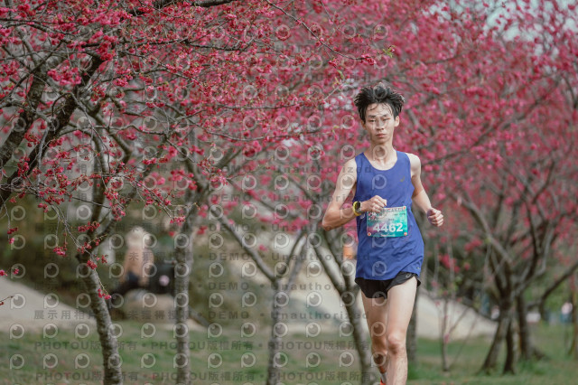 2026左岸竹東櫻花馬拉松Zhudong Sakura Marathon